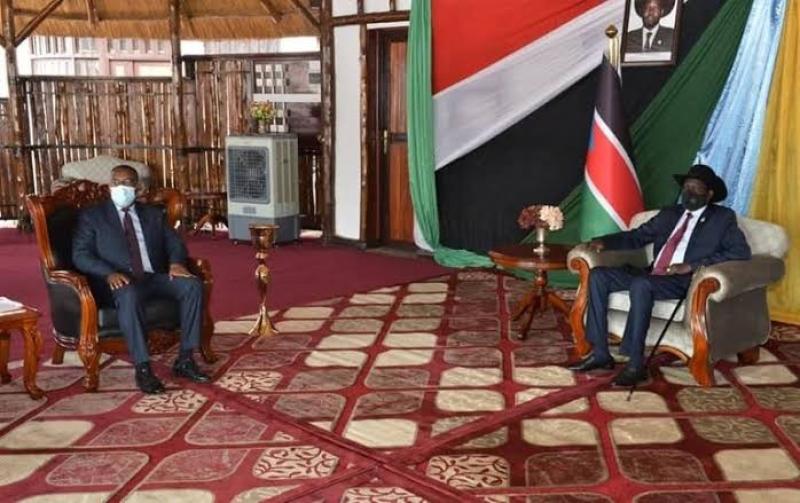 إثيوبيا وجنوب السودان تبحثان قضايا الأمن والسلام الإقليميين