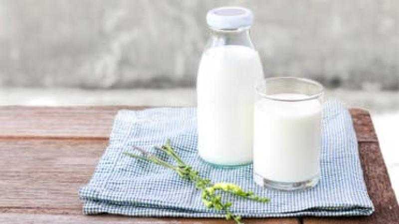يسبب السرطان ويرفع الكوليسترول.. أضرار تناول الحليب بكثرة