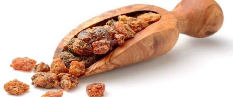 الفوائد الصحية للمواد المُرة .. تعرف عليها