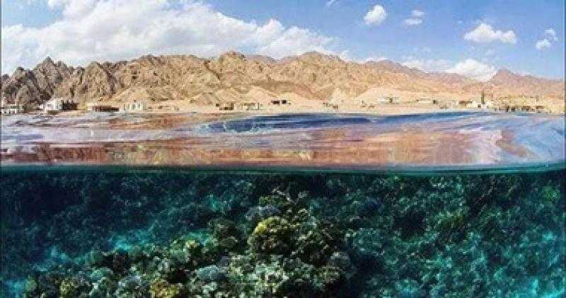 لماذا ينجذب السياح لمنطقة «البلو هول»؟.. «فيديو»