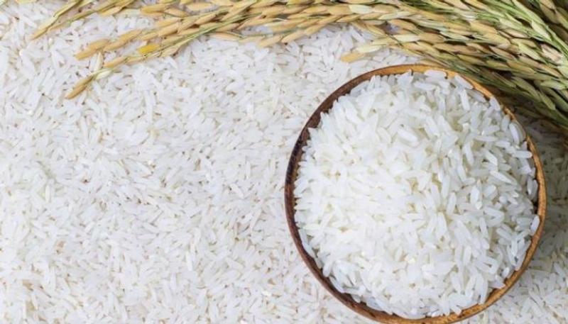 انخفاض سعر الأرز