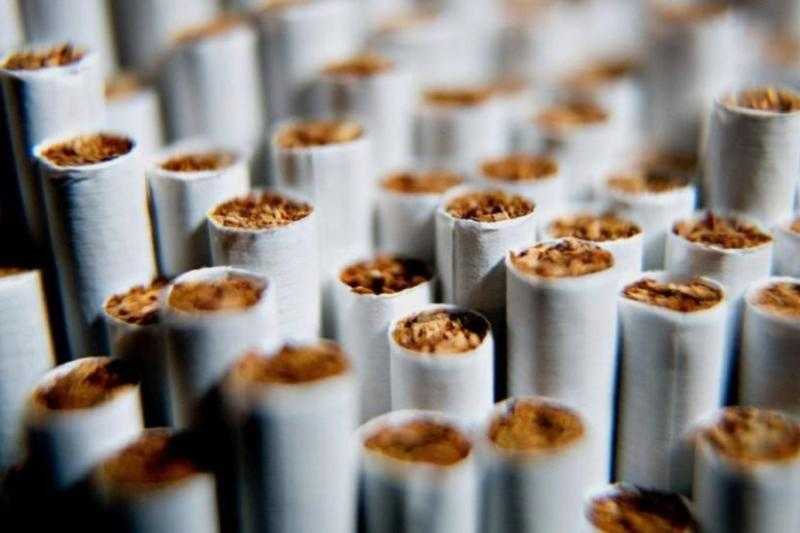 3.5 مليار علبة سجائر سنويًا.. «الشرقية للدخان»: «نحن الأعلى دخلًا في الدولة بعد قناة السويس»