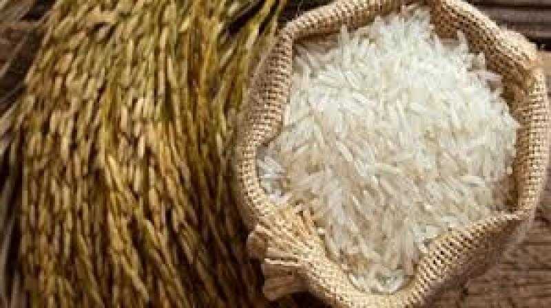 وجود عجز في الكميات المعروضة من الأرز بالأسواق.. الحكومة ترد