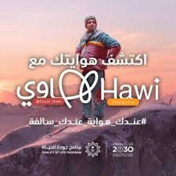 بوابة هاوي