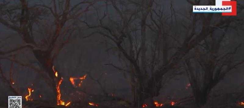 شاهد.. حرائق غابات أمريكا تحصد أرواح 67 شخصًا