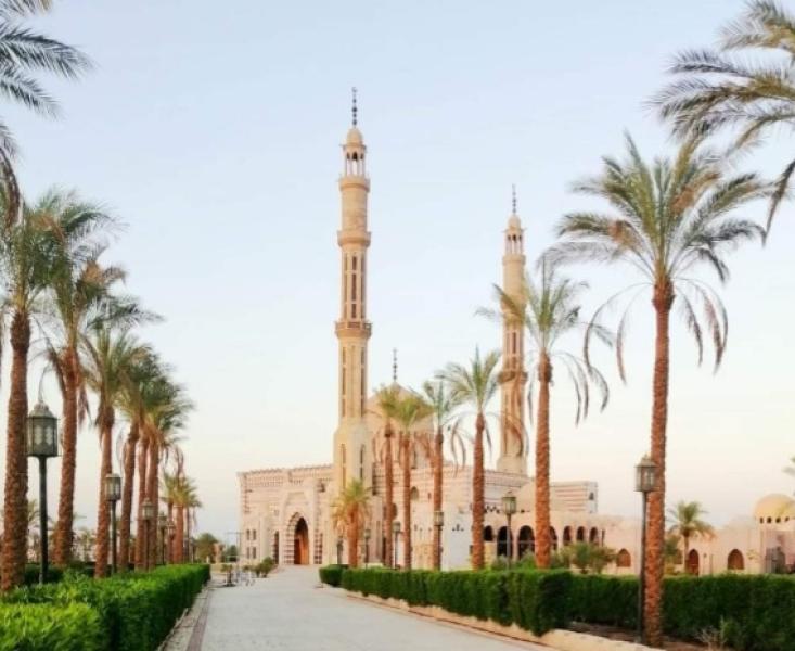 أرشيفية
