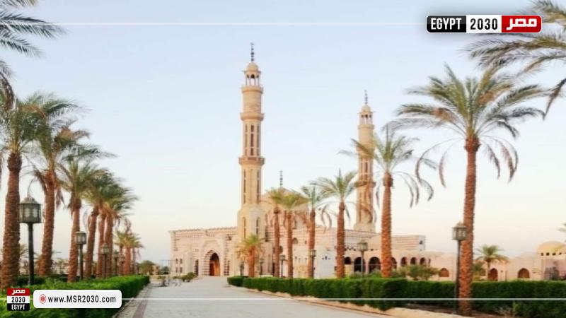 أرشيفية