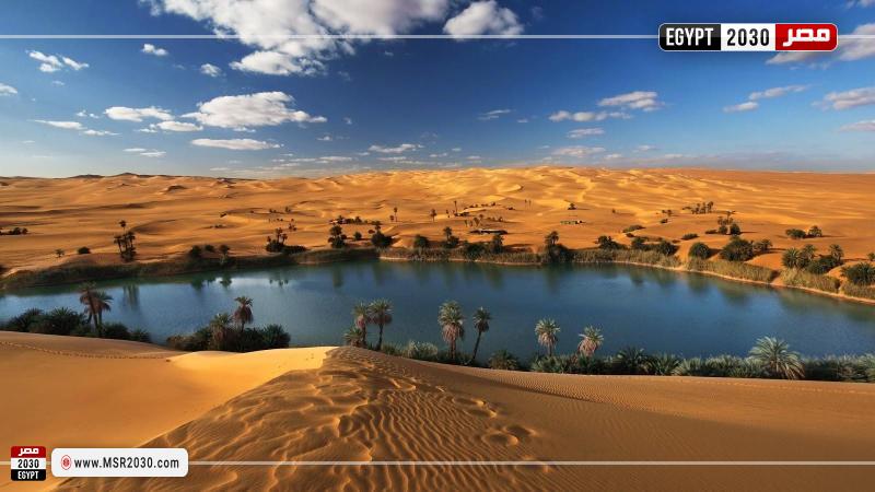 واحة سيوة