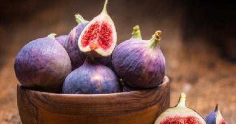 تفاصيل زراعة 100 فدان تين إسباني في مشروع قاعدة محمد نجيب