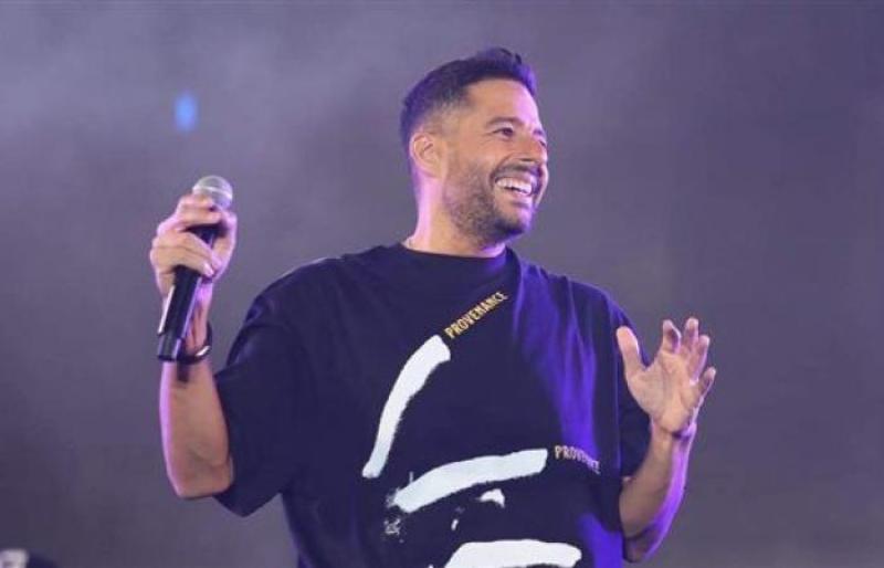 محمد حماقى