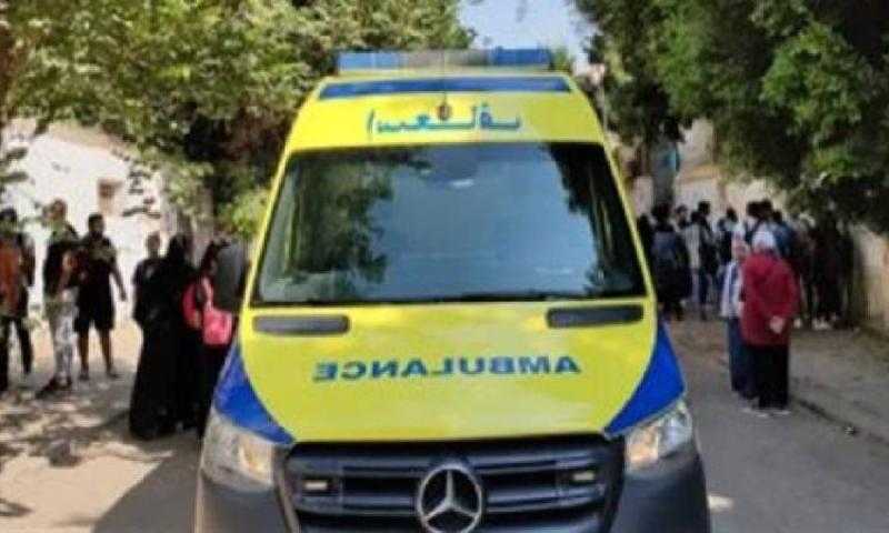 مصرع طفل فى حادث تصادم على الطريق الزراعي بالجيزة