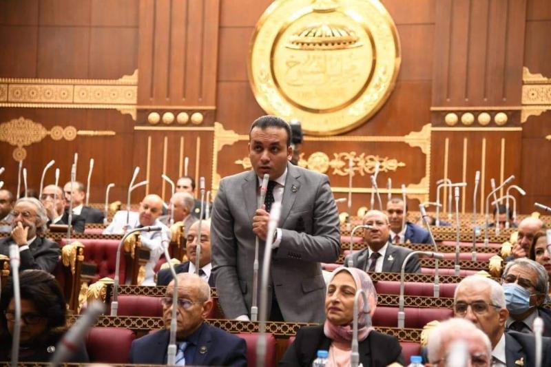 النائب عمرو فهمي