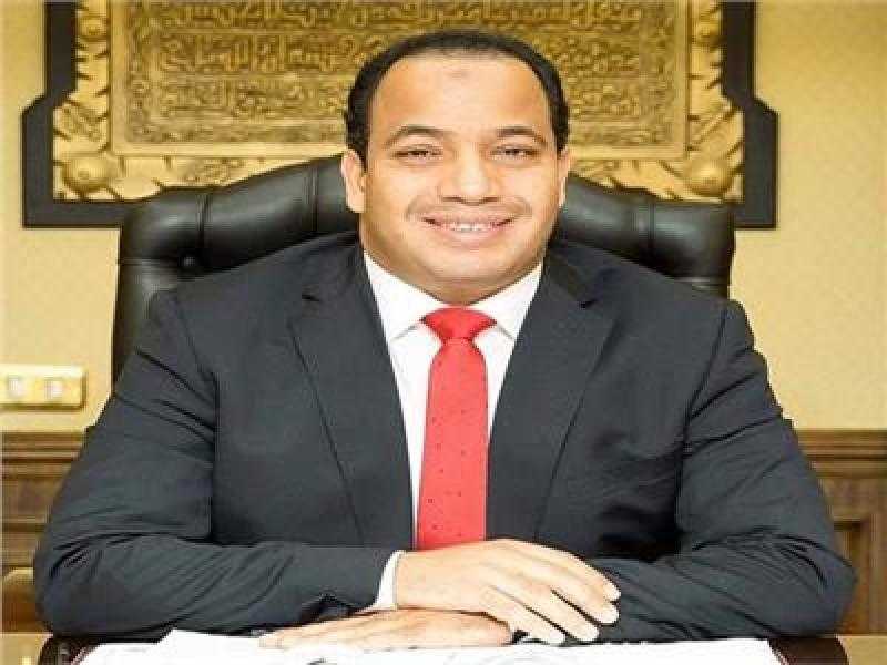 عبد المنعم السيد: الدولة المصرية بدأت السيطرة على فاتورة الاستيراد.. «فيديو»