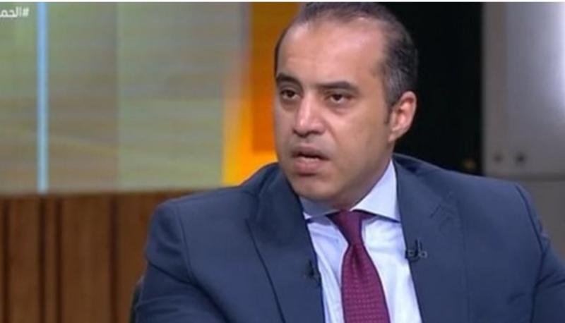 المستشار محمود فوزي