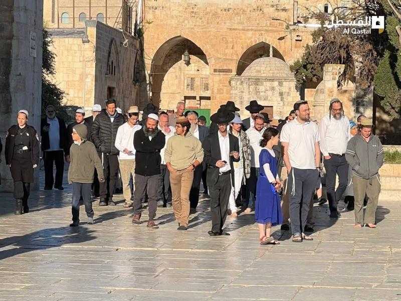 مستوطنون يقتحمون المسجد الأقصى بحراسة شرطة الاحتلال