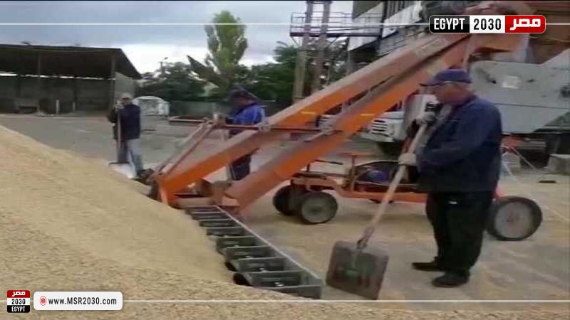 خطة اوكرانيا البديلة لتصدير الحبوب