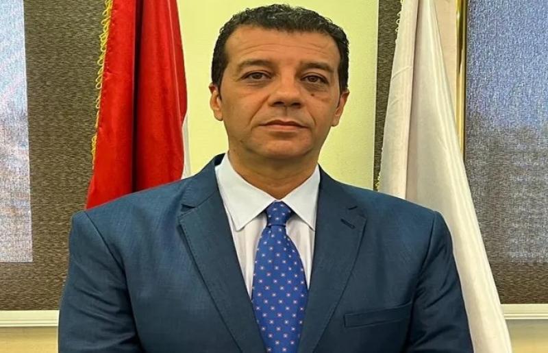 متى سيتم الإعلان عن موعد الانتخابات الرئاسية؟.. المستشار وليد حمزة يرد «فيديو»