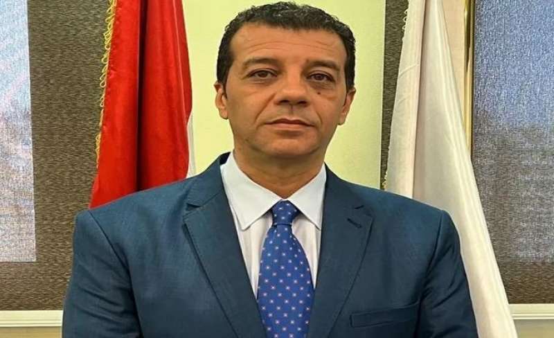 المستشار وليد حمزة