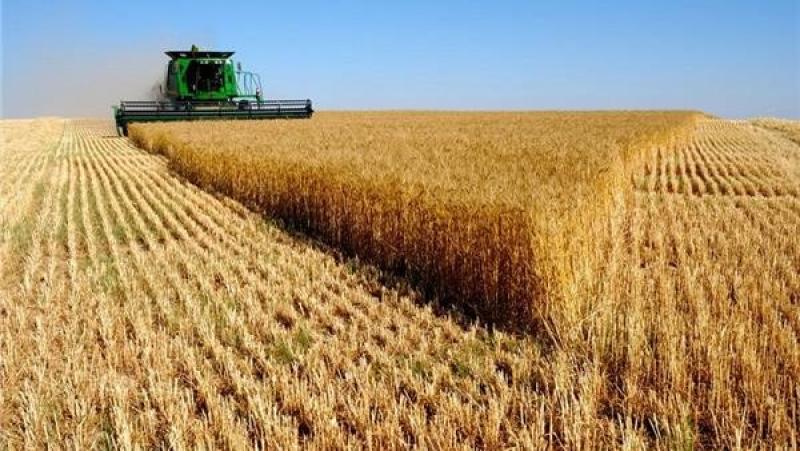 مشروع الـ1.5 مليون فدان