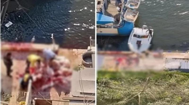 ضبط المتهمين بذبح ماشية على عوامة في النيل بمصر القديمة