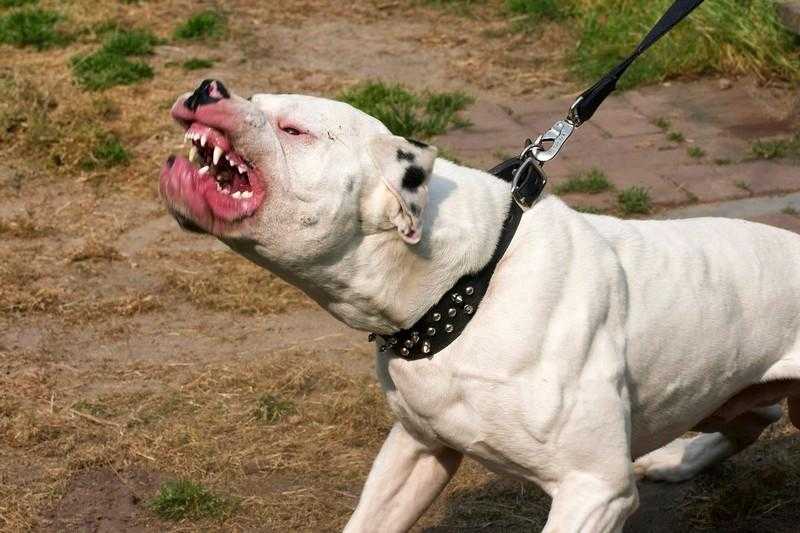 القبض على 3 عاطلين احتجزوا عاملا وقاموا بتعذيبه