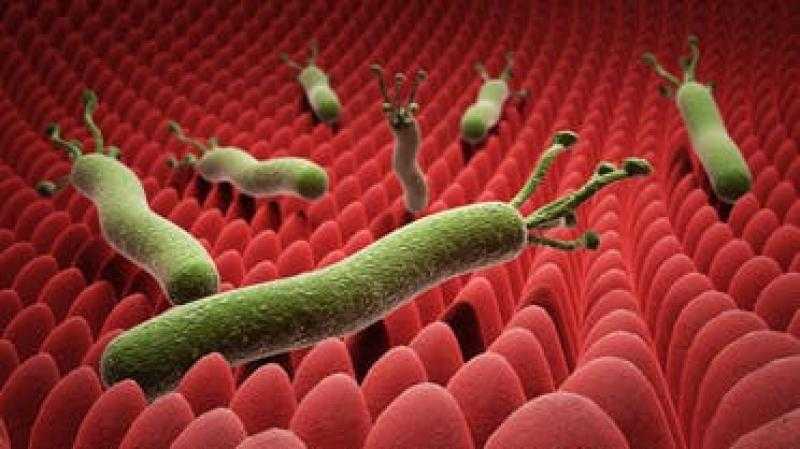 حسام موافي يكشف سرا خطيرا عن البراز وعلاقته بجرثومة المعدة