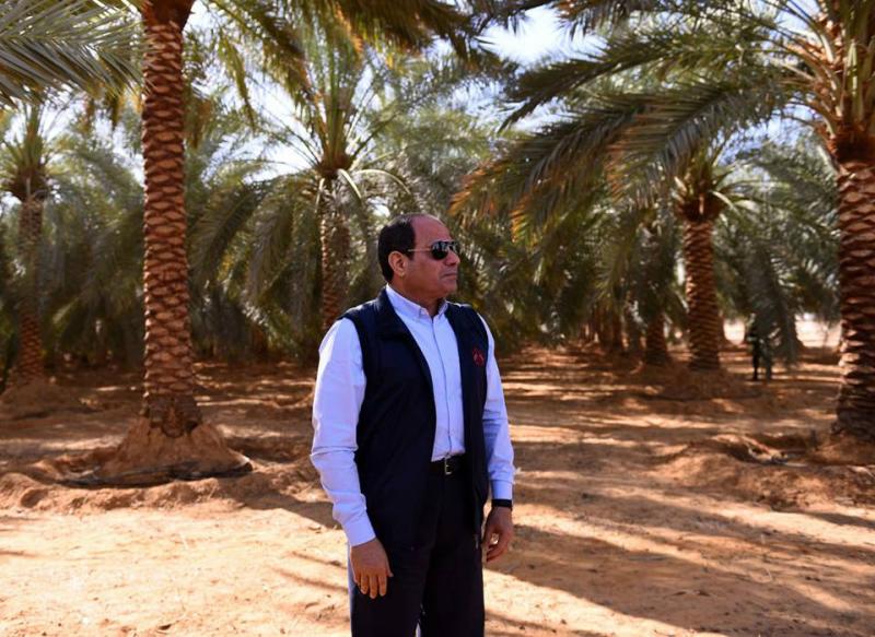 الرئيس السيسي في مشروع توشكى