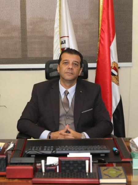 المستشار وليد حمزة رئيس الهيئة الوطنية للانتخابات
