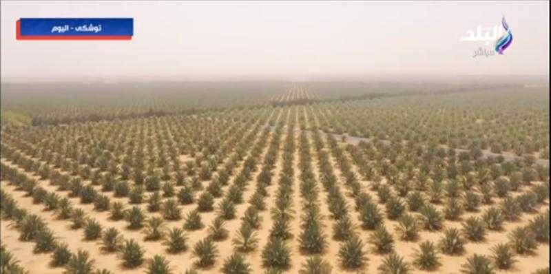 أحمد موسى: الرئيس السيسي أعاد إحياء توشكى.. وأعداء الوطن وصفوها بالفنكوش