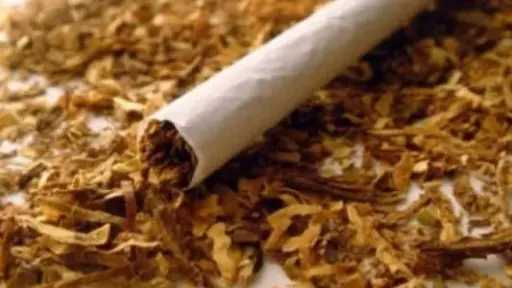 ضبط 17 طن عسل أسود و2 طن تبغ خام داخل مصنع غير مرخص بالدقهلية