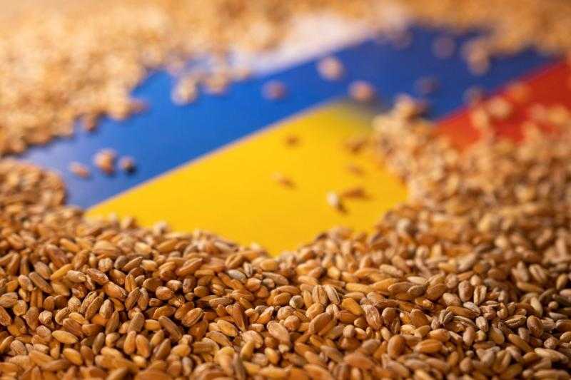 أوكرانيا تسعى لتصدير الحبوب عبر نهر الدانوب رغم الهجمات الروسية
