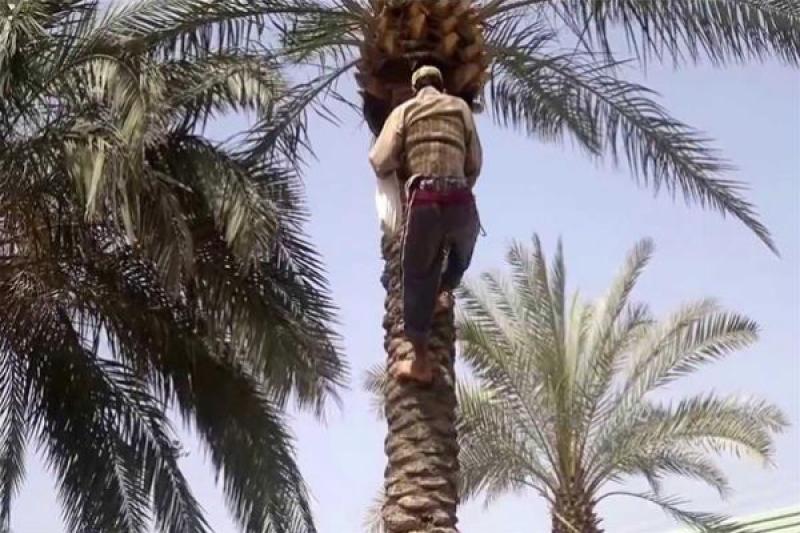 تعبيرية