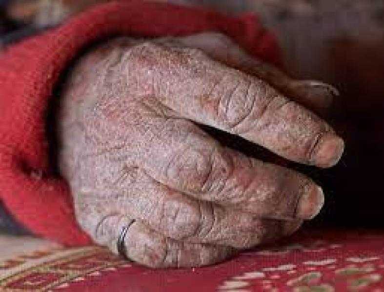 «رايحة المستشفى».. دهس مسنة أمام حدائق الأهرام