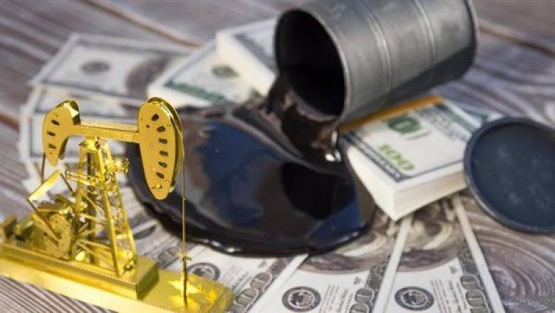 خبير اقتصادي لـ”بوابة مصر 2030”: أحداث الجابون ستؤثر على إنتاج النفط العالمي