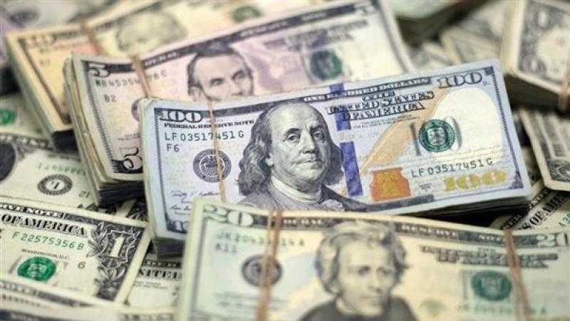 ضبط شخصين بتهمة الاتجار في النقد الأجنبي بالمنوفية