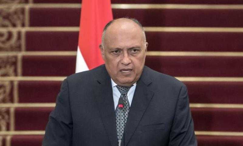 وزير الخارجية: نتطلع لزيادة حركة السياحة اليابانية إلى مصر - فيديو