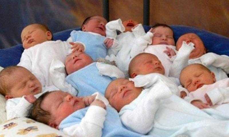 «القومي للسكان»: زيادة المواليد تلتهم ثمار التنمية في مصر - فيديو