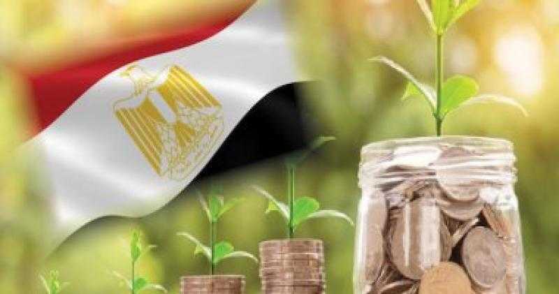 الريف المصري: نشجع الاستثمارات الخضراء لتصدى لمشكلة التصحر