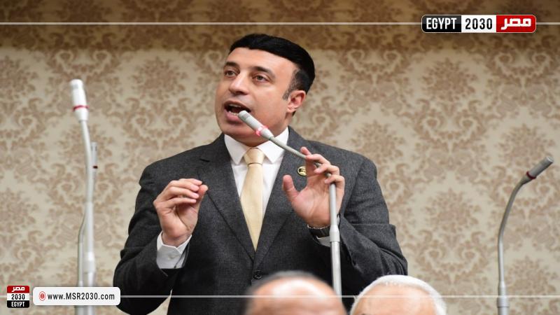 النائب أحمد الشناوي خليل