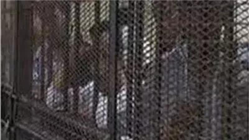 تأجيل محاكمة 22 متهما بقضية «الهيكل الإداري للإخوان»