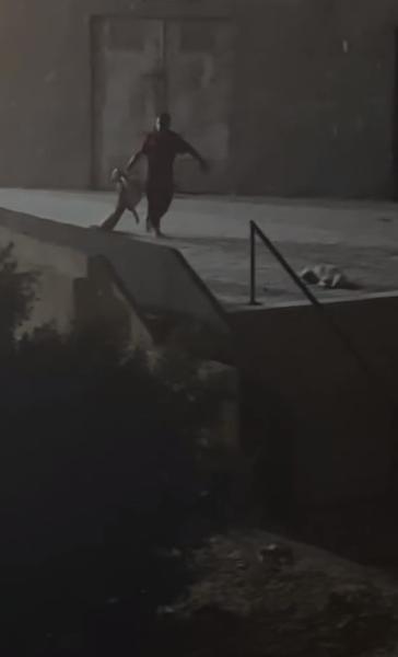 بالصور.. مطعم شهير بالفسطاط «يُسمم» كلاب المنطقة