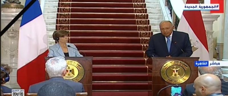 شكري: العلاقات المصرية الفرنسية متشعبة عميقة