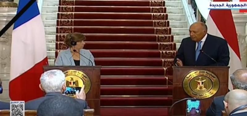 شكري: نتطلع لزيارة قريبة من ماكرون إلى مصر