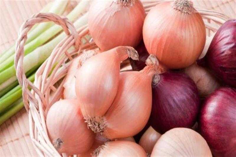 صدرنا 200 ألف طن زيادة.. أول تعليق من نقيب الزراعيين على وقف تصدير البصل