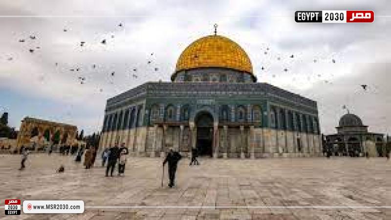أرشيفية