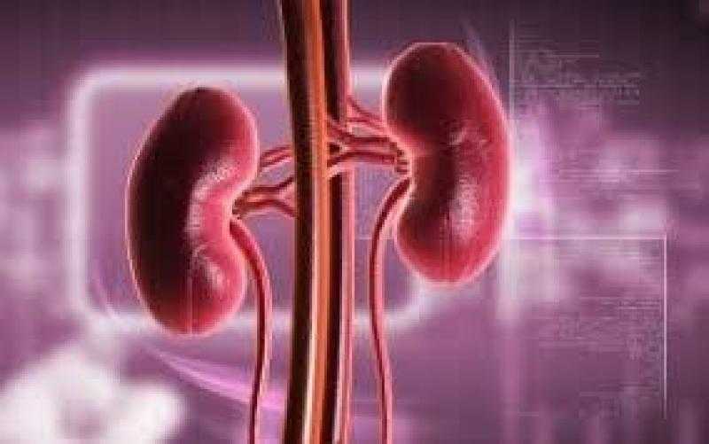 حسام موافي يكشف علاقة الفشل الكلوي وارتفاع ضغط الدم