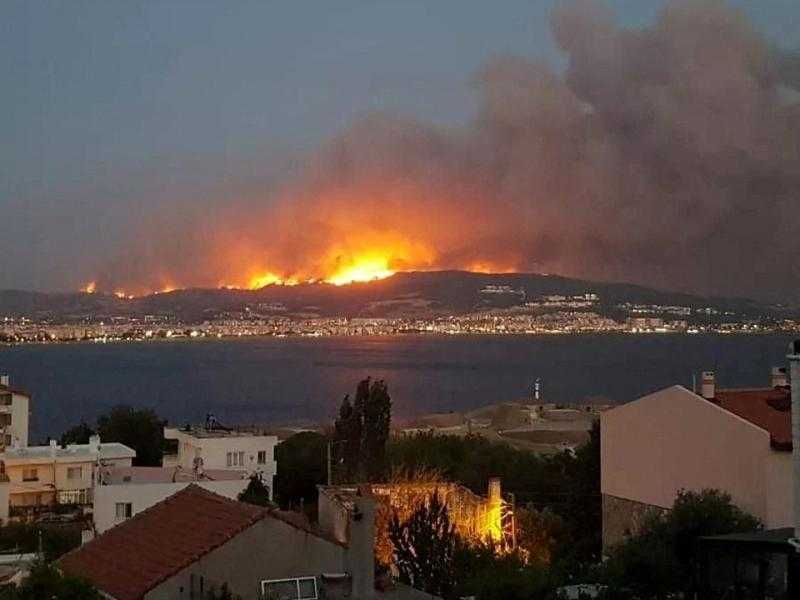 الجزائر.. نشوب حريق بإحدى غابات ولاية بجاية وإخلاء المنطقة من السكان