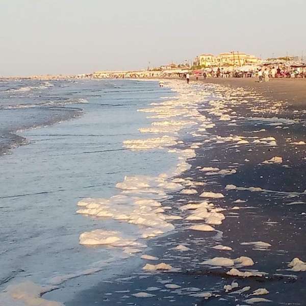 زبد البحر