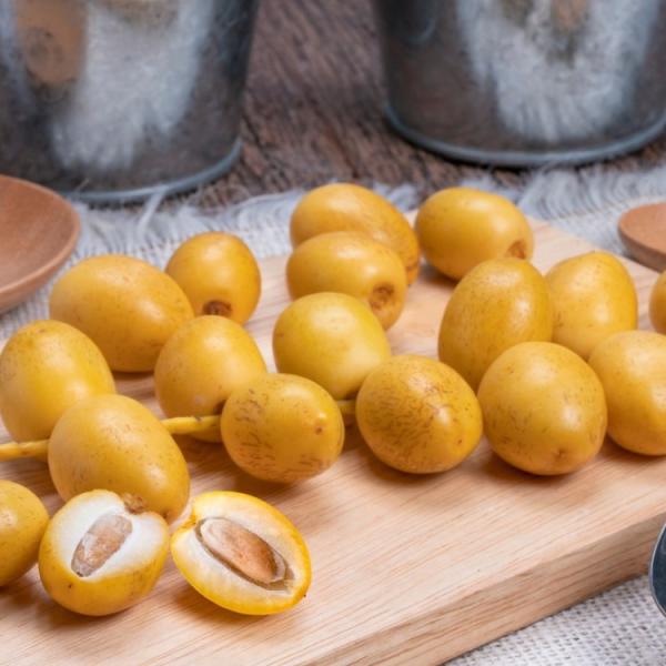 البلح الأصفر 