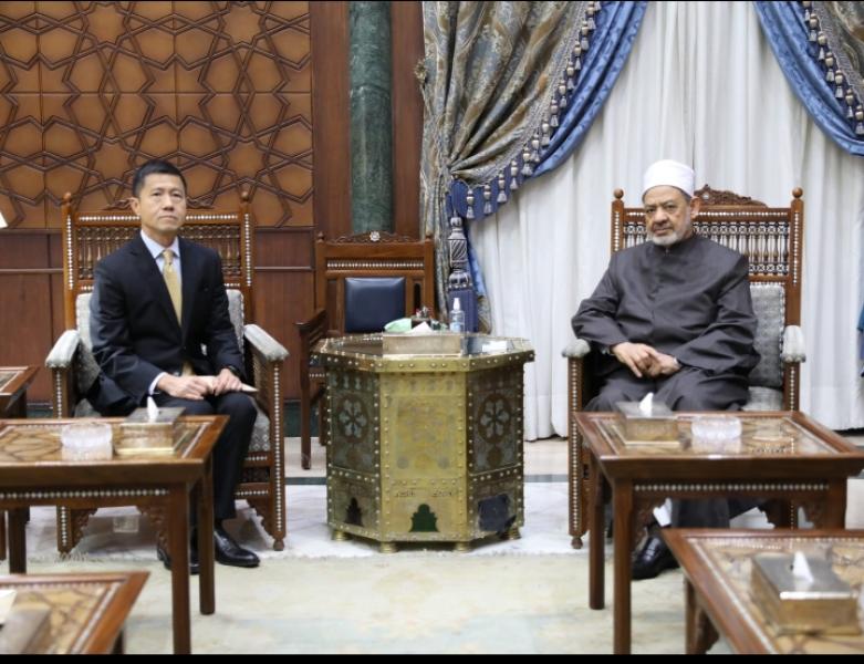 شيخ الأزهر خلال اللقاء 
